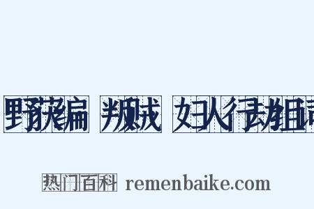 野获编·叛贼·妇人行劫组词是什么意思的图片